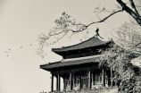 探究中国的世界文化遗产之美